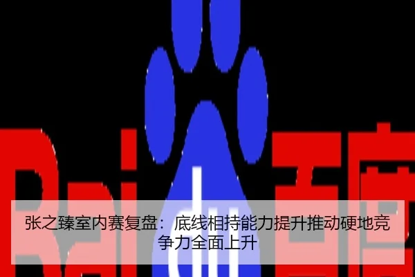 张之臻室内赛复盘：底线相持能力提升推动硬地竞争力全面上升